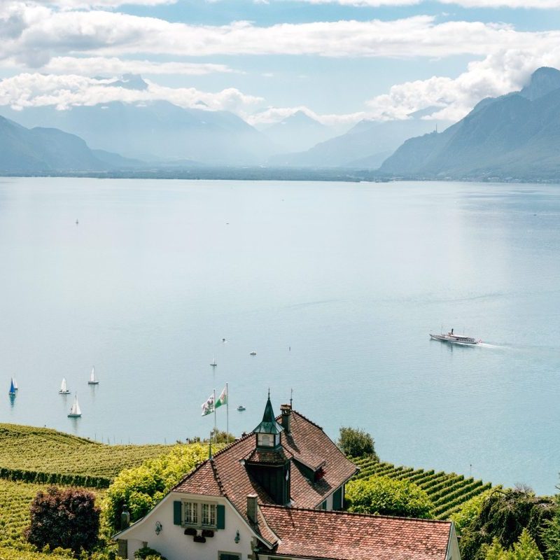 Österreiche Landschaft an einem See mit Weinbergen und Bergen am Horizont